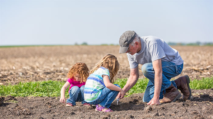 Grandpa planting seeds with grandchildren