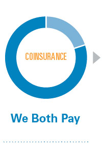 Coinsurance, We both pay